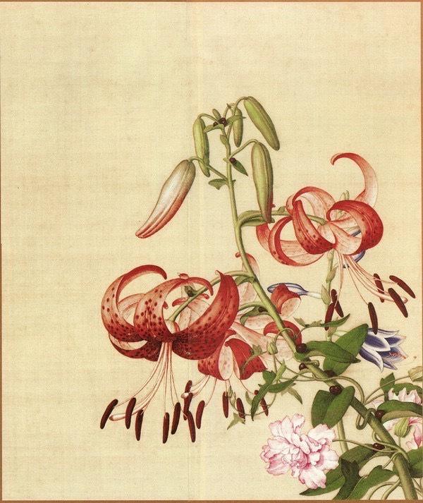 11.百合花与缠枝牡丹